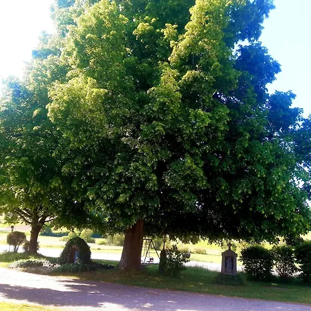 Fleischmannhof Do San Ma Dahoam * Φάλκενσταϊν